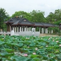 惠州西湖旅游区