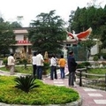 汉中朱鹮生态园